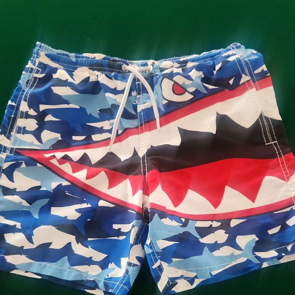 MC2 Saint Barth Blue and White Swim Shorts